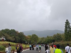 -习家池