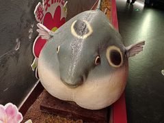 -肆月河豚·新淮扬菜·烤鸭(中关村店)
