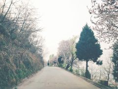 -终南山国家森林公园