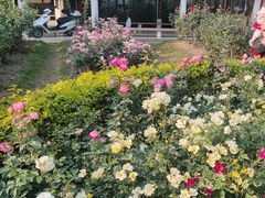 -人民公园(罗湖区)