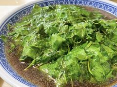 -四季园农家乐