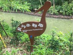 -大湾区中央湿地公园
