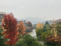 -杭州世外桃源君澜度假酒店