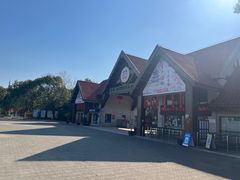 -上海海湾国家森林公园