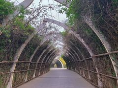 -天津东丽湖风景区