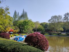 -赭山公园