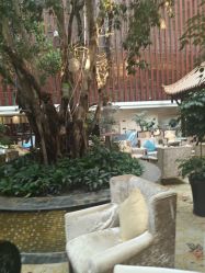 -成都世外桃源酒店-宴会厅·草坪婚礼·会议活动