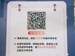 -莘庄龙之梦停车场