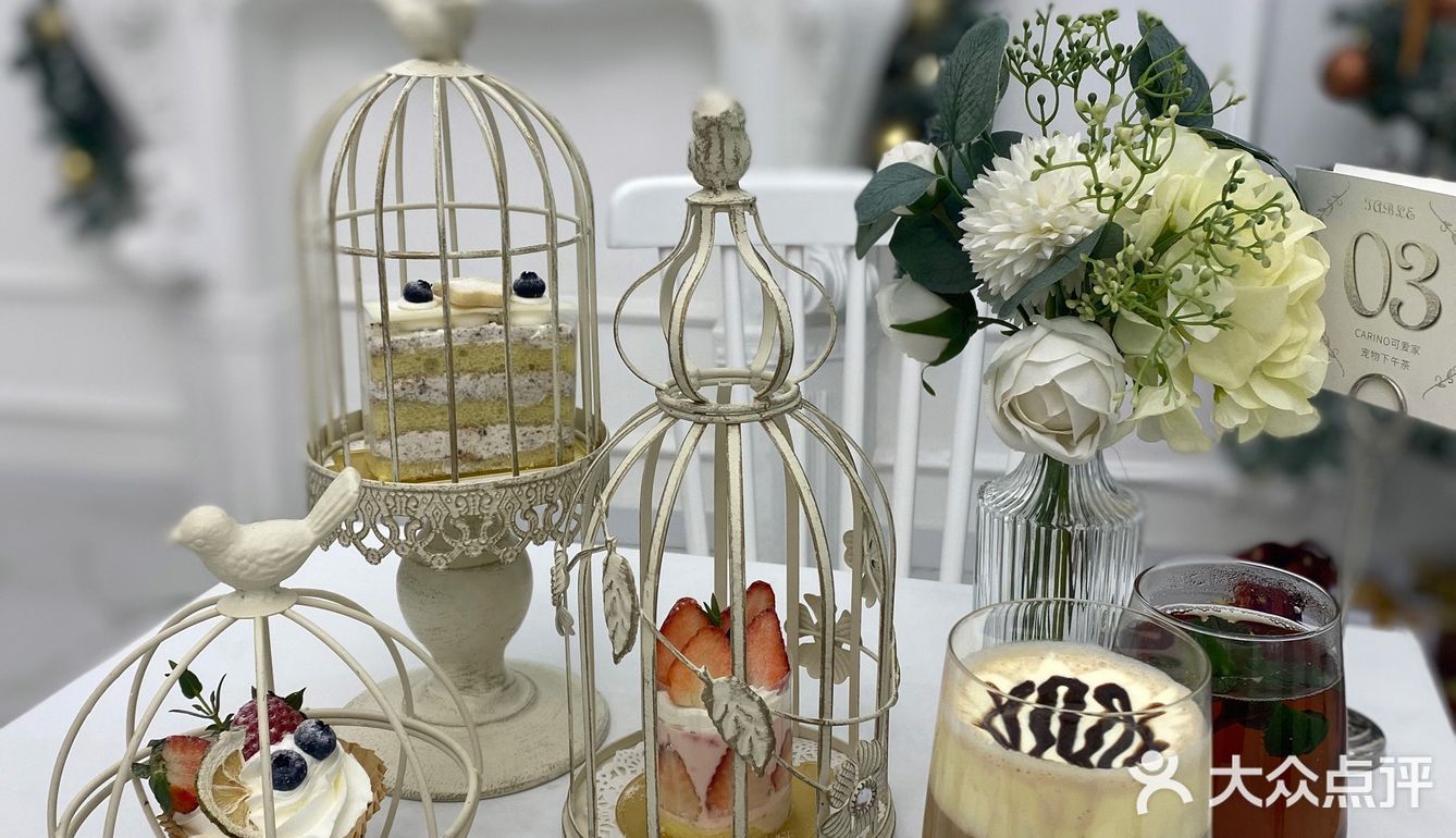 成都探店｜可爱家的狗狗也太好rua了