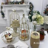 成都探店｜可爱家的狗狗也太好rua了