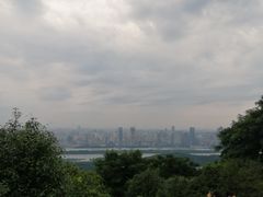 -向群锅饺(登高路店)