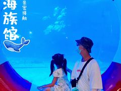 -烟台海昌鲸鲨海洋公园
