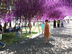 -嬉乐湾休闲旅游区