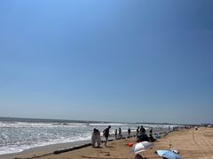 -日照海滨国家森林公园