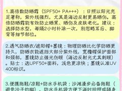 -日照海滨国家森林公园