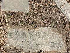 -北京麋鹿生态实验中心