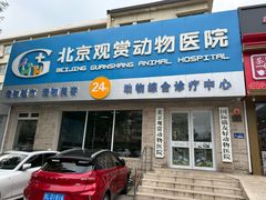 -北京观赏动物医院·24小时大型综合·猫专科·异宠专科