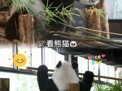 -上海野生动物园