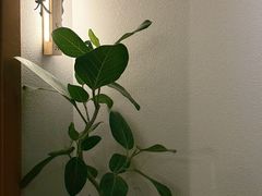 -沐森 •疗愈头疗馆(打浦桥店)