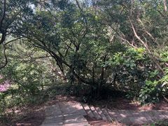 -花竹村