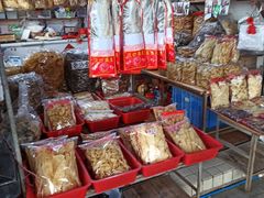 -大湾区中央湿地公园-十九涌