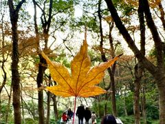 -宁波市保国寺古建筑博物馆