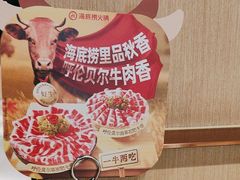 -海底捞火锅(河东万达广场店)