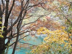 -叠溪松坪沟景区