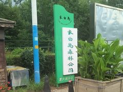 -长白岛森林公园