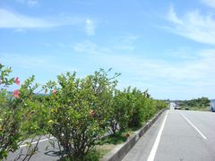 -鹅銮鼻公园