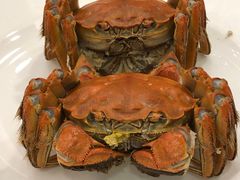 清蒸大闸蟹-王宝和酒家(黄浦店)