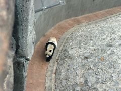 -柳州市动物园
