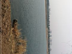 -绿堤公园