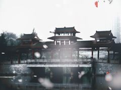 -重庆彩云湖湿地公园