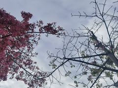 -厦门高崎国际机场-T3航站楼