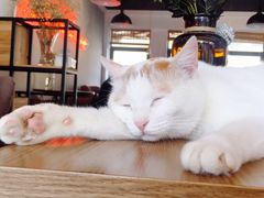 -B.O.M波姆烘焙(凤凰街店)