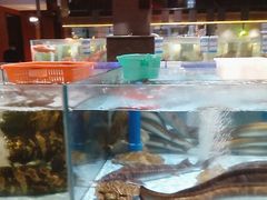 -阿伟海鲜楼·福建菜(延寿店)