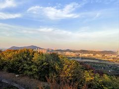 -羊山湖公园