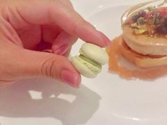 -蝶舍·MAISON PAPILLON