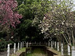 -柳侯公园