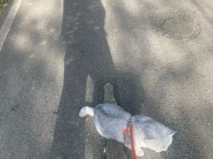 -洨河生态公园