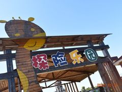 -上海长兴岛郊野公园