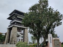 -大湾区中央湿地公园