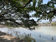 -江心屿景区