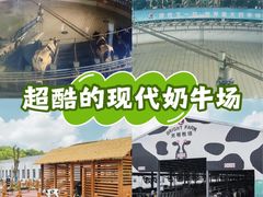 -光明牧业有限公司金山种奶牛场