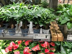 -鹿岛生活(熙地港店)