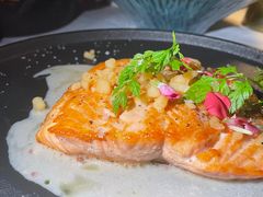 -Hi City·城市之巅