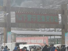 -示范集贸市场