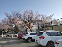 -吉林大学(南岭校区)