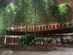 -北京望京凯悦酒店The Lounge大堂酒廊